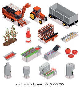 Producción de tomates conjunto isométrico con íconos aislados líneas de tanques de almacenamiento combinan cosechadores y productos listos ilustraciones vectoriales