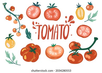 Tomatoes set. Cartoon Vegetables. Tomatoes on the branches, cherry tomato, slices and hand draw lettering. Vegetarian Healthy food. Vector illustration isolated on the white background. 