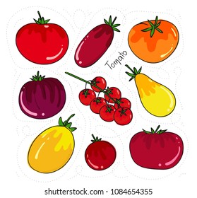 Tomatoes set of different shapes and colors. Yellow, red, pink tomato of varieties.