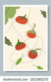 Tomatoes Set. Fresh Colorful Whole Vegetable with Line Shapes, Green Leaves.