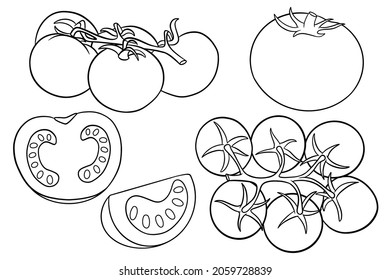 Tomatoes set. Fresh tomatoes, tomatoes on a branch, a wedge and a half. In line style. Vector illustration for design and decoration.