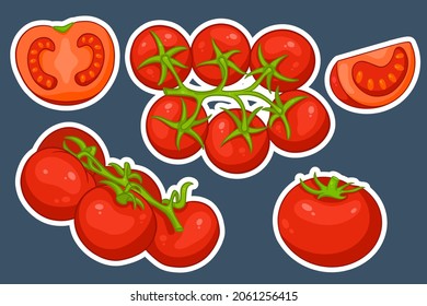 Tomatoes set. Fresh tomatoes, tomatoes on a branch, a wedge and a half. In cartoon style stickers. Vector illustration for design and decoration.