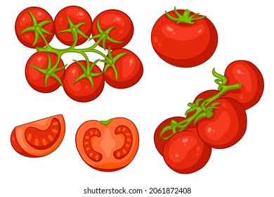 Tomatoes set. Fresh tomatoes, tomatoes on a branch, a wedge and a half. In a cartoon style. Vector illustration for design and decoration.