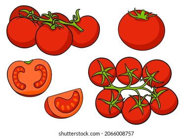 Se ponen tomates. Tomates frescos, tomates en una rama, una cuña y media. En un estilo de caricatura. Ilustración vectorial para diseño y decoración.