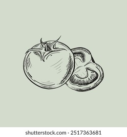 Tomatoes set hand drawn. Vintage vector illustration.