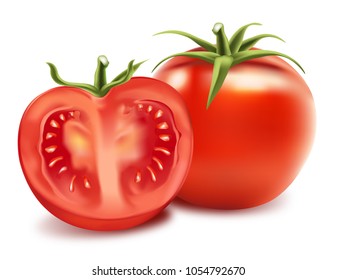 Tomatoes set isolated on white color background. vector realistic illustration, vegetable. view from top.