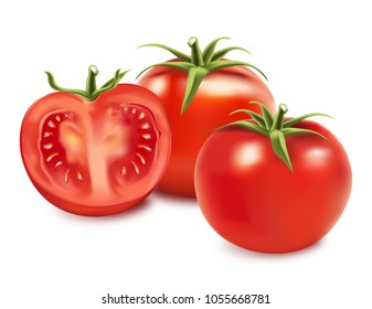 Tomatoes set isolated on white color background. Vector realistic 3D illustration, view from top.