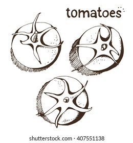 Tomatoes set isolated on white background, vector illustration