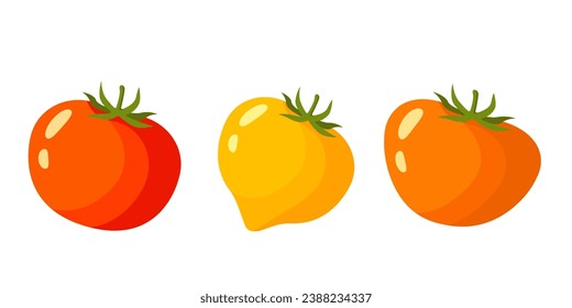 tomates sobre fondo blanco, gráficos vectoriales. conjunto de 3 tipos de tomates