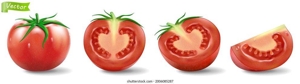 Tomatoes set, realistic 3D vector isolated on white background. Detailed 3d fresh whole, half and slices of red tomatoes. Set for salad and sauce, top view,