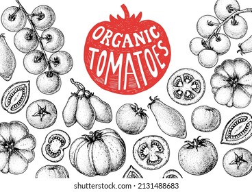 Tomatoes sketch hand drawn illustration. Organic tomato design template. Vector illustration. Healthy food frame. Ketchup package design elements. Tomato vegetable.