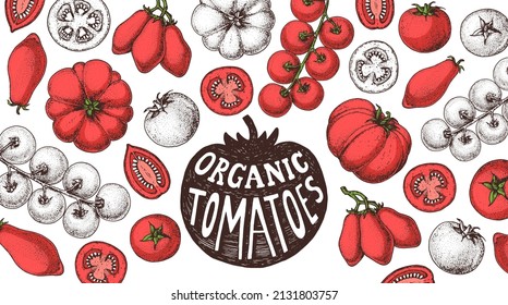 Tomatoes sketch hand drawn illustration. Organic tomato design template. Vector illustration. Healthy food frame. Ketchup package design elements. Tomato vegetable.