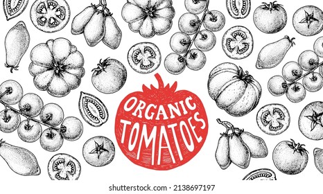 Tomatoes sketch hand drawn illustration. Organic tomato design template. Vector illustration. Healthy food frame. Ketchup package design elements. Tomato vegetable.	