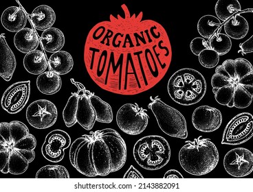 Tomatoes sketch hand drawn illustration. Organic tomato design template. Vector illustration. Healthy food frame. Ketchup package design elements. Tomato vegetable.