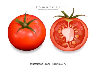 Tomatoes sliced isolated Vector realistic. Detailed 3d illustration template for label, icon, product placements