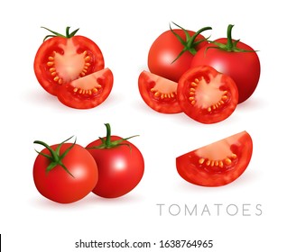 Tomatoes with slices. Realistic vector illustration. Closeup raw vegetables isolated on the white background. Food still life collection.