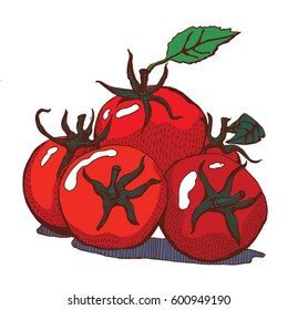 tomatoes slide , manual graphics, on white background , vector