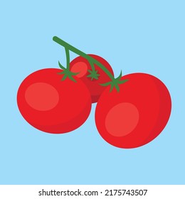 Tomatoes, sprig with three red tomatoes