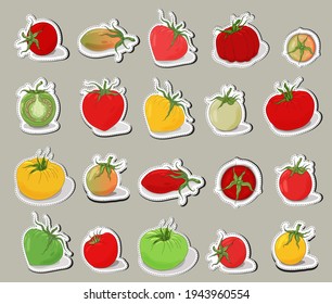 Tomatoes stickers set. Hand drawn Tomato ketchup badge label design set. Juicy fresh vegetables isolated. Organic food. Tomatoes symbols collection. Vector color tomato icons. Healthy food.