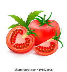 Tomatoes vector