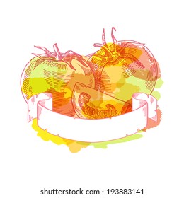 tomatoes, vector hand drawing