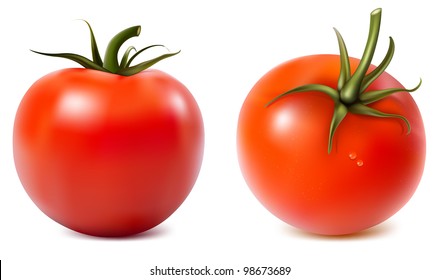 Tomatoes. vector illustration.