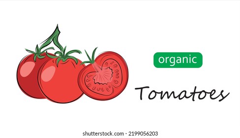 Ilustración vectorial de tomates. Ilustración artística con tomates orgánicos con letras.