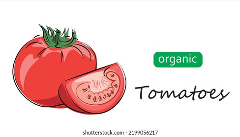 Tomatoes vector illustration. Art illustration organic tomatoes.