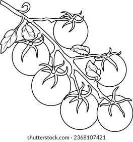 ilustración vectorial de tomates, ingrediente, ketchup