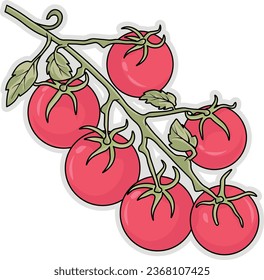 tomatoes vector illustration, ingredient, ketchup