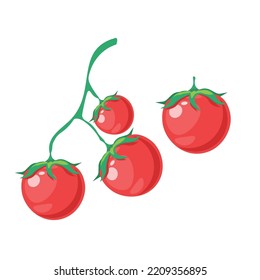 Tomaten, Vektorgrafik, Tomaten, Flachsymbol, Tomaten, Pflanzengrafik