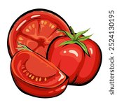 Tomatoes vector image for ketchup, tomato juice labels and food packaging design, hand drawn sketch style illustration isolated on white background.