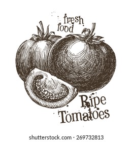 tomatoes vector logo design template. fresh vegetables, food or gardening icon.