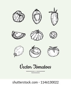 Tomatoes vector set. Vegetarian poster, banner, logo, icons, sticker, menu, shop, restaurant, label template. Food line hand drawn illustration. Tomatoes black and white sketch isolated vegetables.