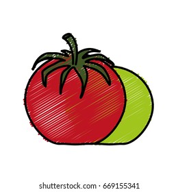 tomatoes vegetable icon