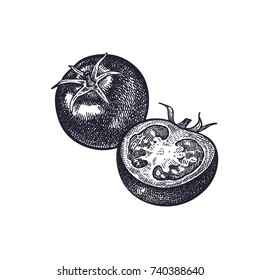 Tomatoes. Vegetables isolated for kitchen design. Vector illustration of food. Hand drawing style vintage engraving. Black and white.