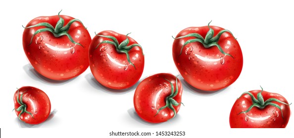 Tomatoes watercolor vector. Fresh tomatoes with water drops. Menu shop template