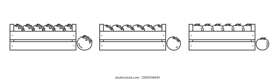 Tomaten in einer Holzkiste Symbole umreißen. Gemüse in einem hölzernen Kastenzeilensymbol