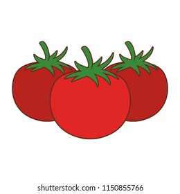 Tomatos fresh vegetables