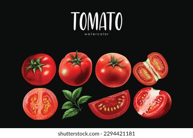 tomates fijados sobre fondo negro aislado, ilustración de la acuarela del tomate