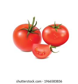 Tomate y rodajas aisladas en fondo blanco. Fotograma de alimento orgánico de tomate ilustrativo vectorial realista de vegetales sanos.