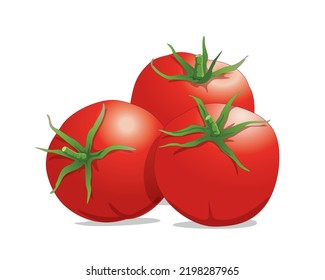 Tomatos, vector illustration isolated on white background     