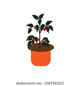   Tometo   with vector of illustration