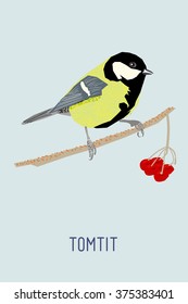 Tomtit. Abstract vector illustration of the bird. Hand drawn textures. Stock vector.