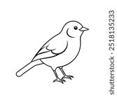 tomtit bird icon vector illustration