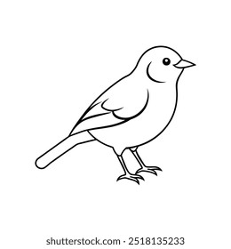 tomtit bird icon vector illustration