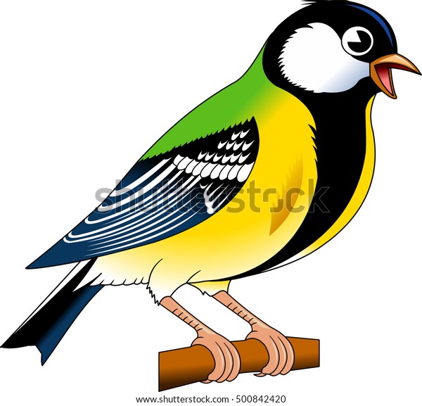 Tomtit Bird Titmouse Vector Illustration Tomtit Stock Vector (Royalty ...