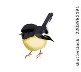 Tomtit bird vector illustration design