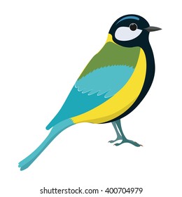 Tomtit bird vector illustration. Titmouse isolated on white background.