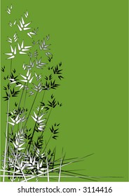 tonal bamboo on green background